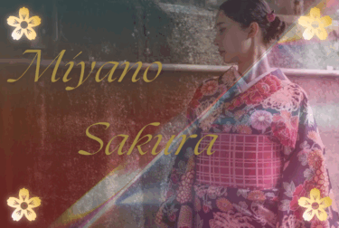 京都の真面目公務員が見せた素顔｜宮野桜のプロフィールと 作品集